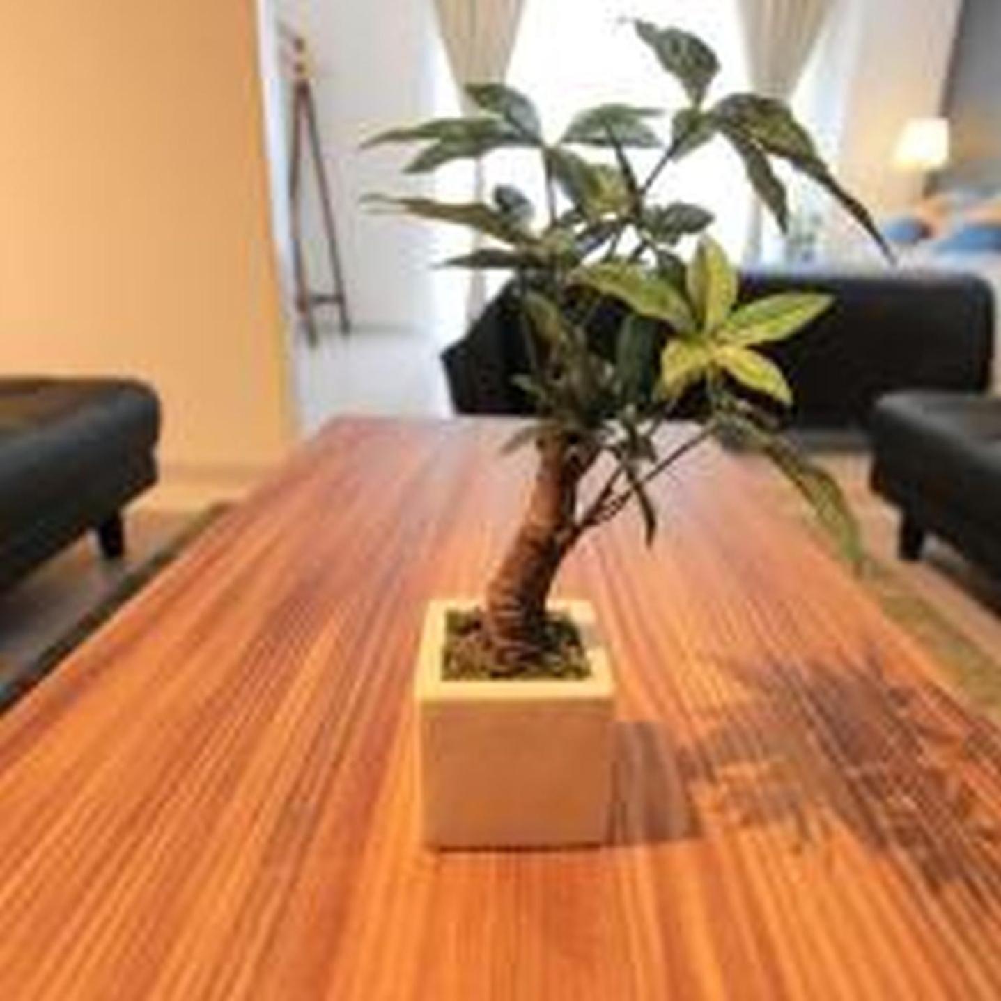 Appartamento アルザーテ上町401 *